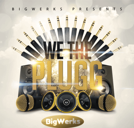 BigWerks We The Plugg Synth Presets